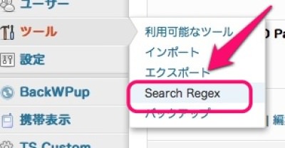 Search Regexメニュー